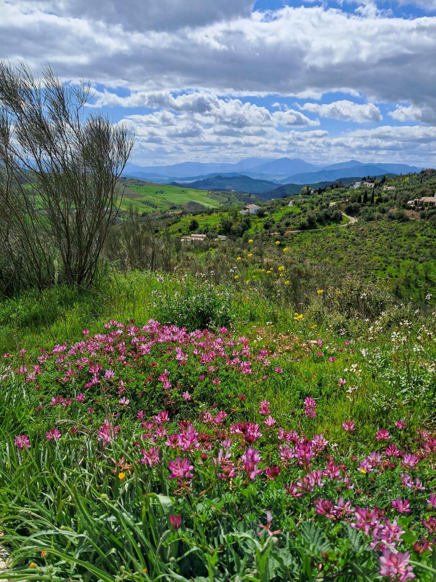 Finca Amorosa Villanueva de la Concepción Eksteriør bilde